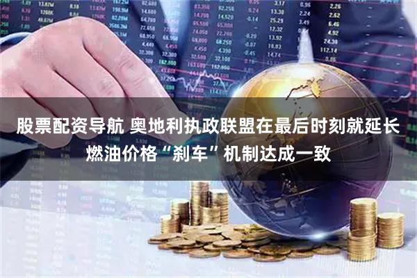 股票配资导航 奥地利执政联盟在最后时刻就延长燃油价格“刹车”机制达成一致
