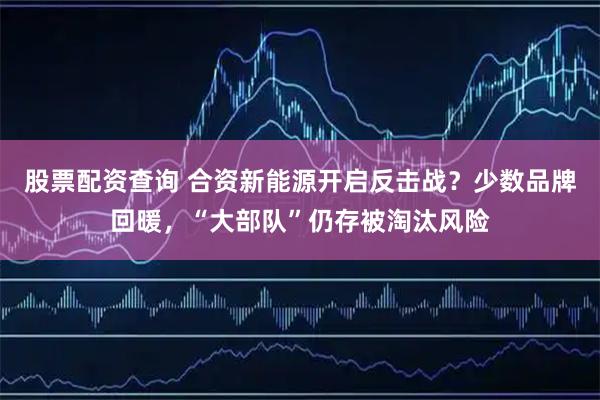 股票配资查询 合资新能源开启反击战？少数品牌回暖，“大部队”仍存被淘汰风险